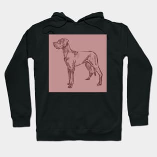 cute great dane Hoodie